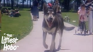 Boy On Wheels The Littlest Hobo Season 1 Episode 10