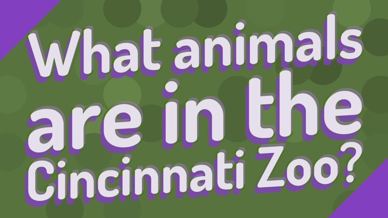 What animals are in the Cincinnati Zoo? YouTube