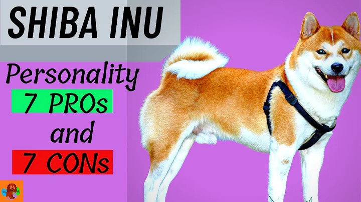 SHIBA INU PROs & CONs - 14 Things You Must Know Before Getting One!