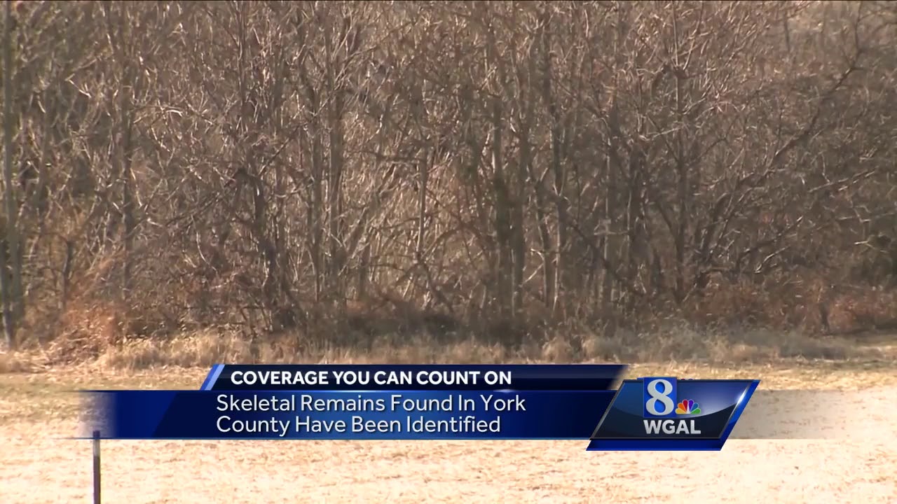Skeletal remains found in woods identified
