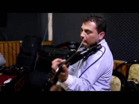 Nicusor Troncea - Colaj instrumentala vioara LIVE Nou