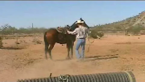 Daniel Tolliver horsemanship