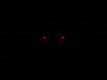 Zodivk   devil eyes               1 hour