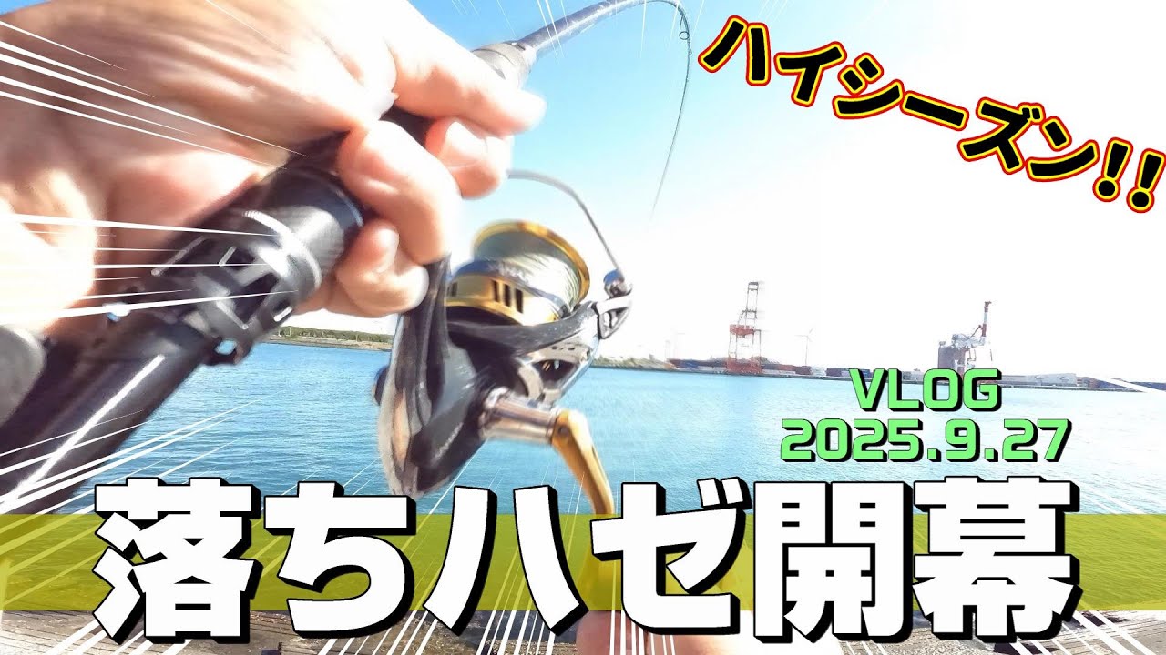 【投げ釣り】秋の落ちハゼ開幕！サバも釣れる秋のハイシーズン到来♪【石狩湾新港】