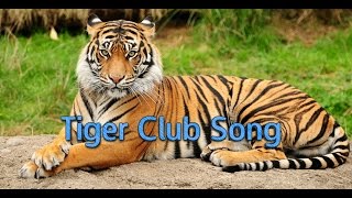 Video thumbnail of "HAVEN HOLIDAYS tiger club song (lyrics)"