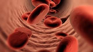 3D Medical visualization Animation
