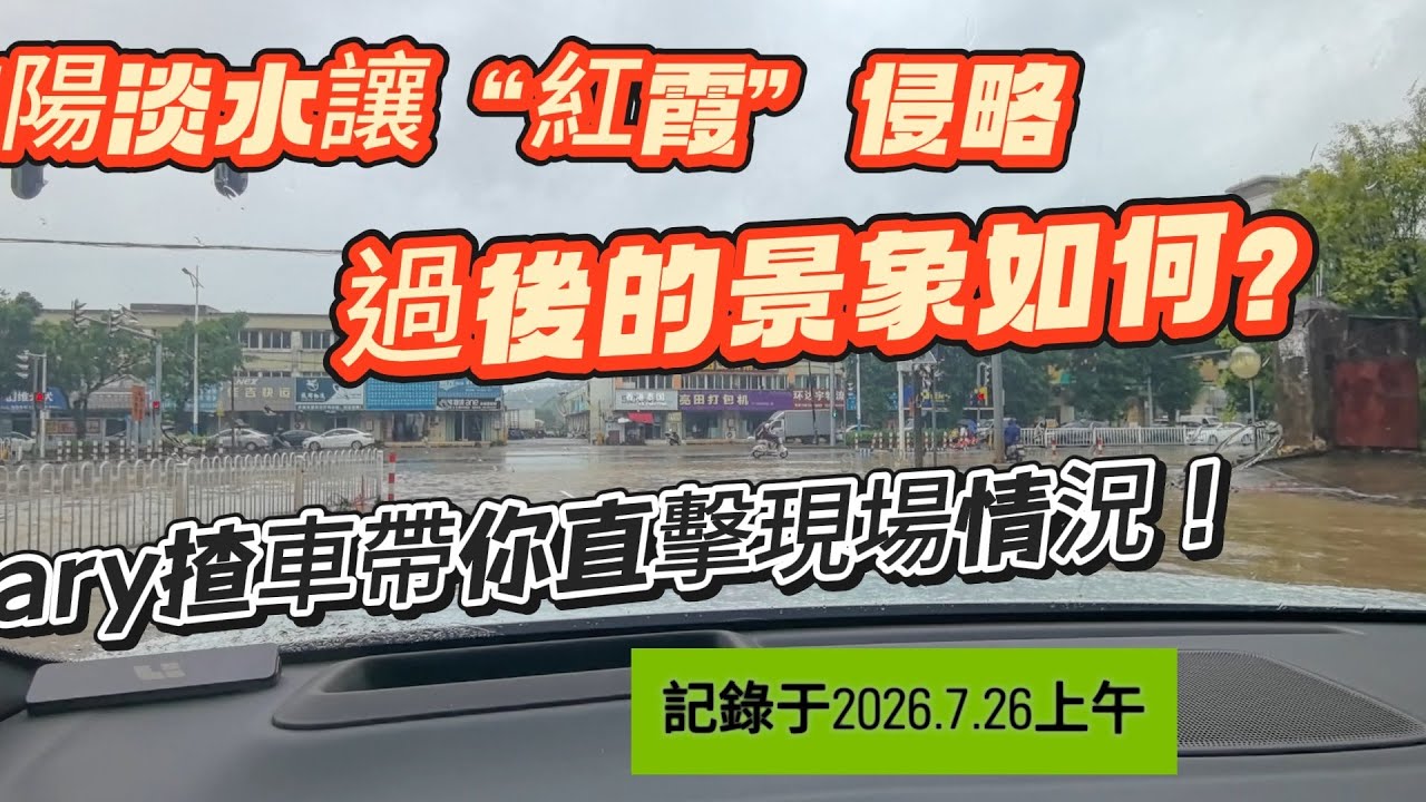 Cary揸車帶你睇下被“紅霞”侵略過的的惠陽淡水🔥拍攝於7月26日上午