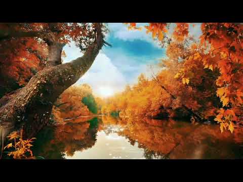 اغنية ياطيرة طيري يا حمامه الفنانة شادية