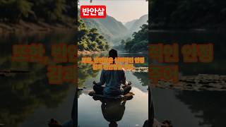 인생의 탄탄대로! 당신을 빛나게 할 귀인의 조력, 반안살!