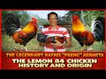 THE HISTORY AND ORIGIN Of LEMON 84 CHICKEN 