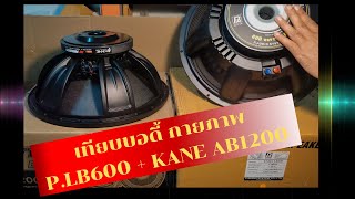 เปรียบเทียบ ดอกลำโพงซับเบส 18 นิ้ว ของ KANE AB1200 กับ P.Audio EM18-LB600 ความถี่กับกำลังวัตต์