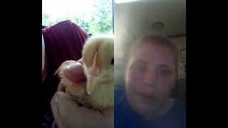 I will be doing a series where I react to my videos