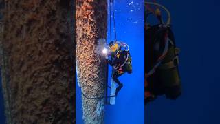 World Underwater  Commercial Diving shorts diving Ng