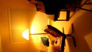 MVI_1729.avi