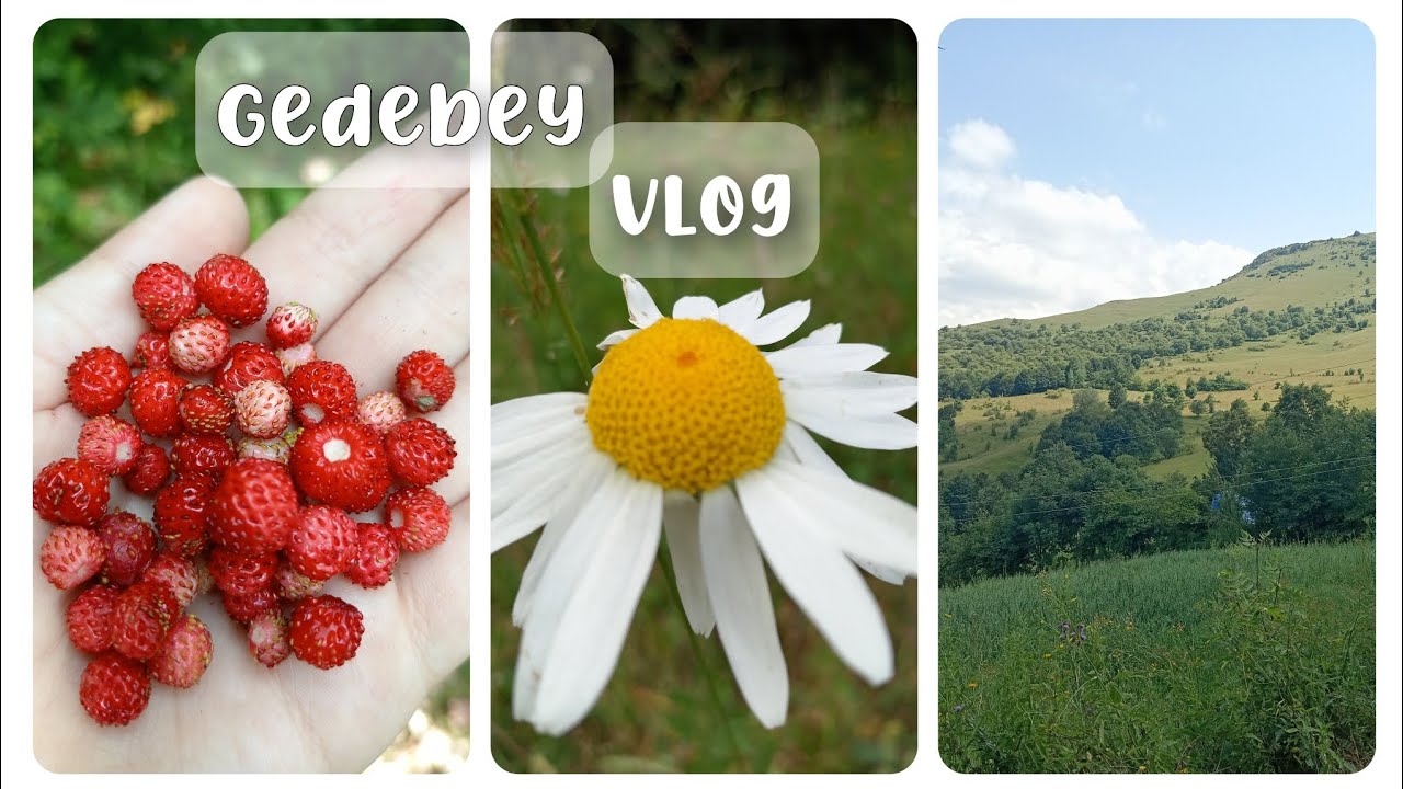 GƏDƏBƏY VLOG⛰️