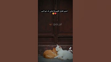 احترم القرآن الكريم 10 ثواني لك اجرا كبير ♥️🥰