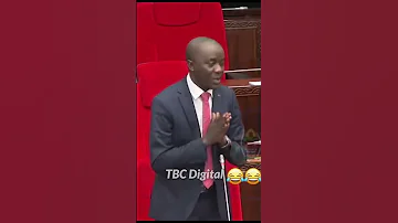 Mbunge MSUKUMA Alivyo Mchamaba Mbunge Wa Kisesa Luhaga Mpina BUNGENI Wakati Wa Kichangia 