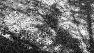 På Vej Ud I Misbrug