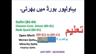 BISEBWP Bahawalpur Borad Unlimited Jobs 2020 | (BS-01) To (BS-11) Online Apply | jobs 2020 screenshot 3