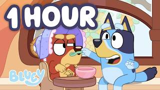 1 hour pretend play school rusty is baby bluey bluey