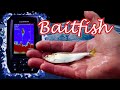 Garmin Striker 4  Identifying Baitfish |Basic Sonar Interpretation|  Fish Finder Tutorial