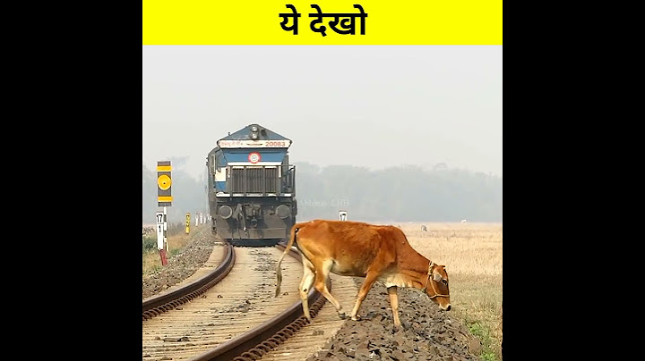 गधे को देखते ही ट्रेन क्यों रुक जाती है #shorts