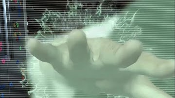 Haunted Soul/Ghost Bride (FxGuru)