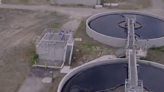 ‘That’s my sanctuary’: Kyle homeowner says city wastewater project threatens trees