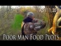 Midwest Whitetail | Food Plot Planting Tips -- Affordable Food Plots