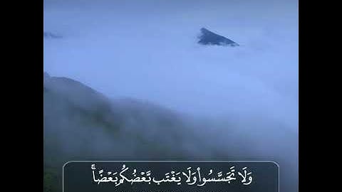 اجمل تلاوة رائعة جميلة💫 القارئ#هاني_الرفاعي  #سورة_الحجرات  حالات واتساب مقاطع دينية قصيرة🌺