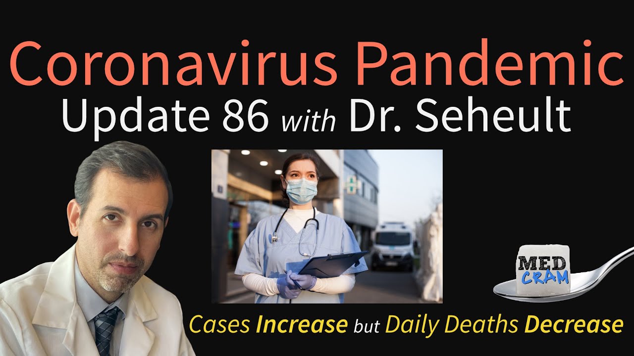 Coronavirus Pandemic Update 86: COVID-19 Testing & Cases Increasing but Daily Deaths Decreasing