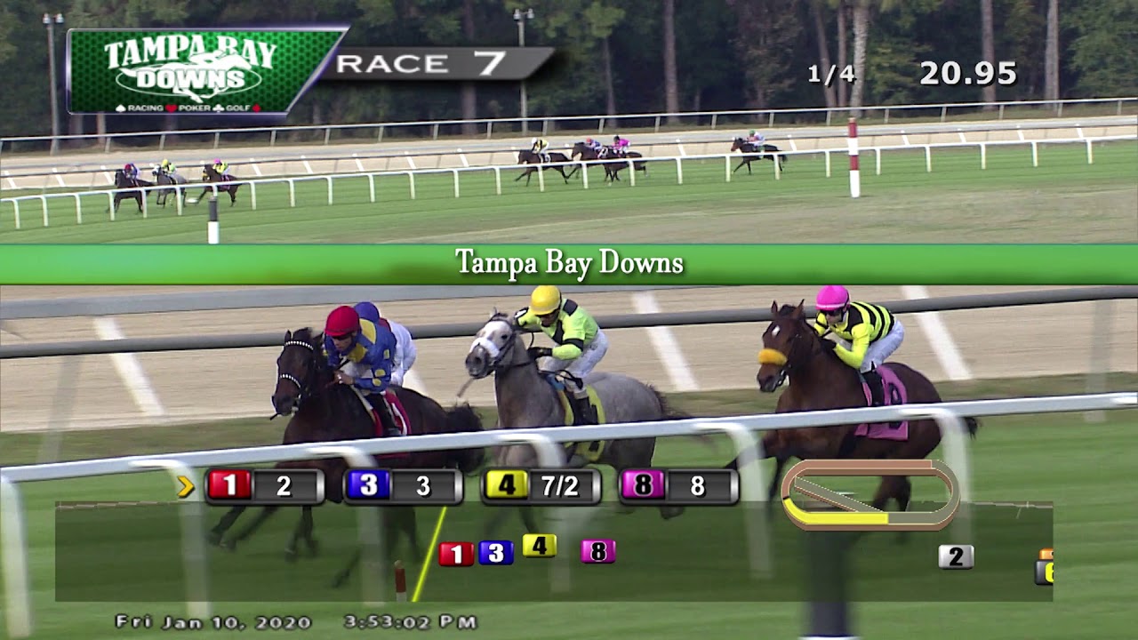 January 10 2020 Race 7 YouTube january-10-2020-race-7-youtube