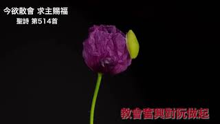 聖詩 第514首「今欲散會，求主賜福」編曲/主唱：鄭明堂