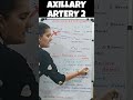 Axillary Artery Part 2 | Branches & Relations Made Easy 🔥 #AnatomyShorts