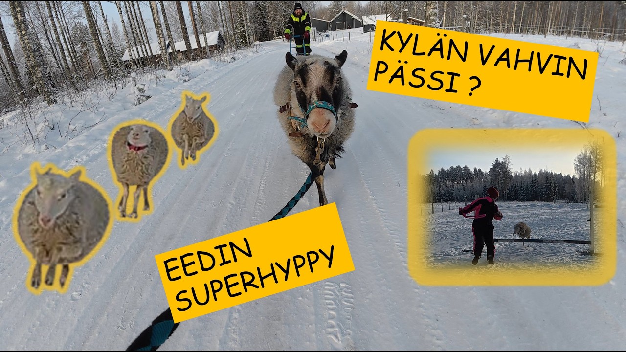 Villamoottori ja lentävä lammas