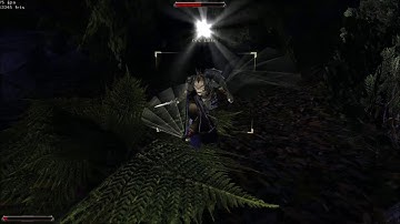 Gothic 2 NR: Sword vs Orc Elite