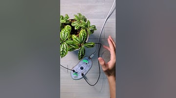Biotron: the MIDI controller from Playtronica that turns plants into music makers 🌿🎹 🎥 by Tybo