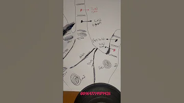 مازن البيضاني الشامات على الاصابع في الكف اكسبلور السعودية العراق الامارات 