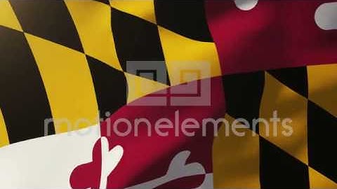 Maryland Flag Waving In The Wind. Looping Sun Rises Style. Animation Loop Stock Animation