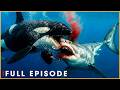 ICE EDGE HUNTERS - Orcas Ambush from the Deep (Full Episode) | Nature Animal Documentary