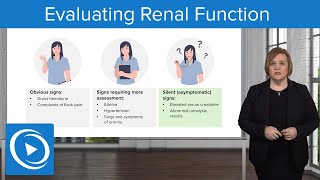 Evaluating Renal Function – Med-Surg| Lecturio Nursing