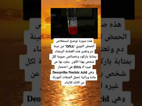 هل تعلم صوره توضح DNA الحمض النووي علم النفس قصص واقعيه عبارات غرائب وعجائب معلومات 