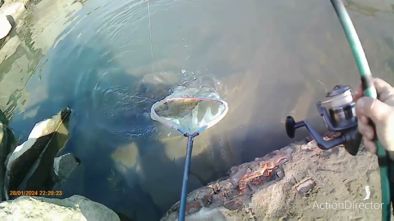 A caccia di giganti tra novarese, vercellese e chivassese 2025/2026 2' parte 