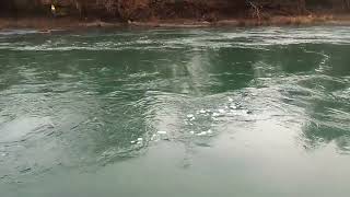 Oregon Winter Steelhead Fishing Part 2 