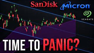 MICRON & SANDISK Stock Are Crashing - Here's Why | $MU $SNDK $SKHY $STX