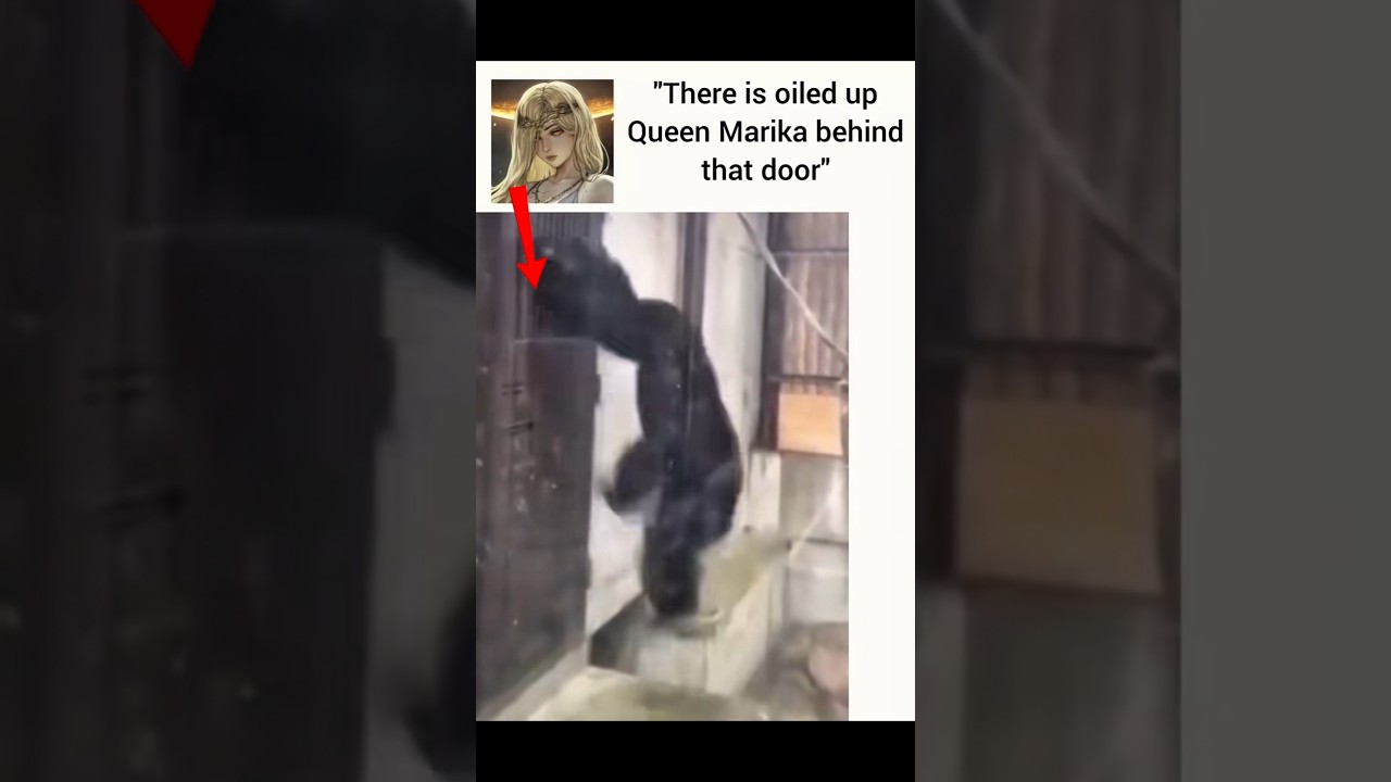 Godfrey Trying to Reach Marika 😂 | Elden Ring Meme