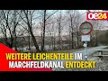 Weitere Leichenteile im Wiener Marchfeldkanal entdeckt