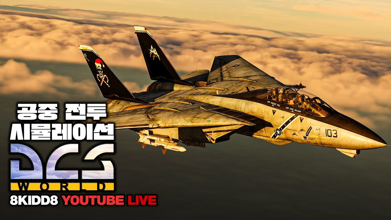 전투비행 시뮬레이션 게임🦅DCS월드 2.9.23🦅QHD 60FPS