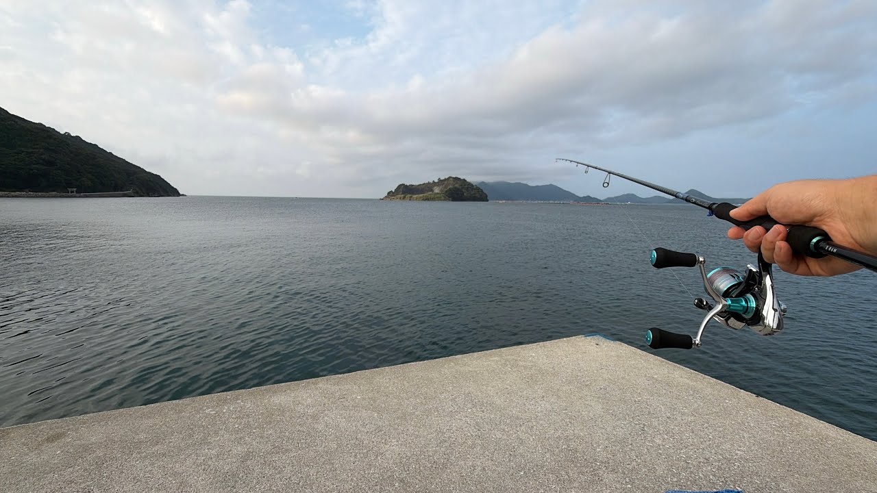 【熊本】天草すげー！釣り初心者でもめちゃくちゃ釣れました！【天草】