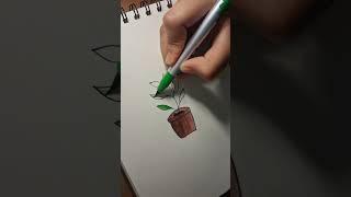 Satisfying Potted Plant Drawing 🌿 | Aesthetic Relaxing Art #brushpen #drawing #art #doodlewash